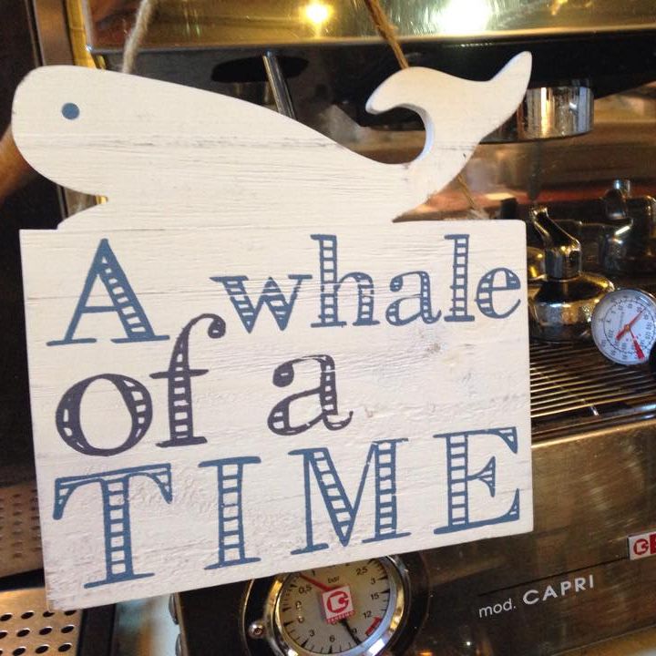 The Whale Tail Cafe The Whale Tail Cafe